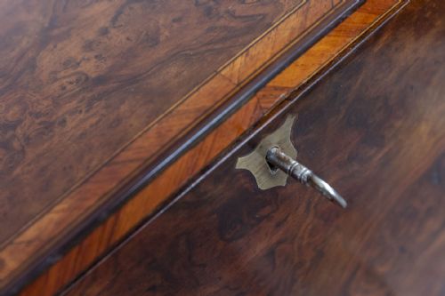 DELIGHTFUL BURR WALNUT COLLECTORS CABINET - ADDITIONAL PHOTO 3