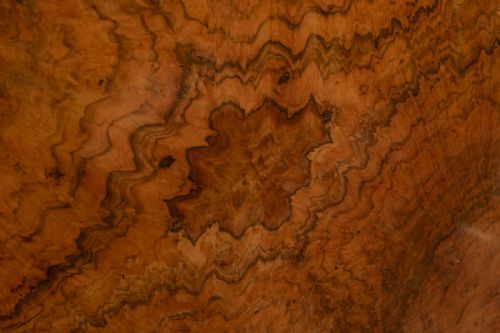 VICTORIAN OVAL LOO TABLE IN BURR WALNUT - ADDITIONAL PHOTO 10