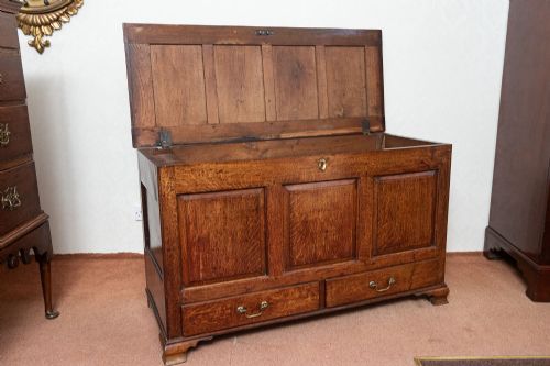 18TH CENTURY MULE CHEST WITH THREE FIELDED PANELS TO THE FRONT - ADDITIONAL PHOTO 1