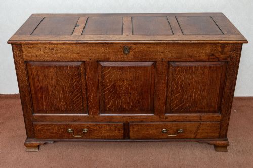 18TH CENTURY MULE CHEST WITH THREE FIELDED PANELS TO THE FRONT - ADDITIONAL PHOTO 2