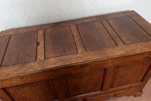 18TH CENTURY MULE CHEST WITH THREE FIELDED PANELS TO THE FRONT - ADDITIONAL PHOTO 4