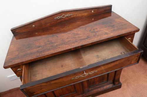 AN EARLY 19TH CENTURY SIDE CABINET IN ROSEWOOD - ADDITIONAL PHOTO 7
