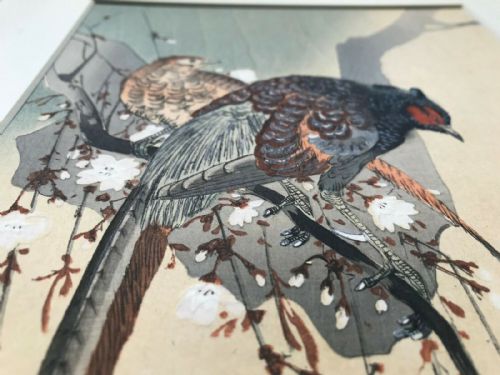 fig 1. Chinese School Original Signed Antique Watercolour Painting Pheasant Birds Sitting on a Blossom Branch