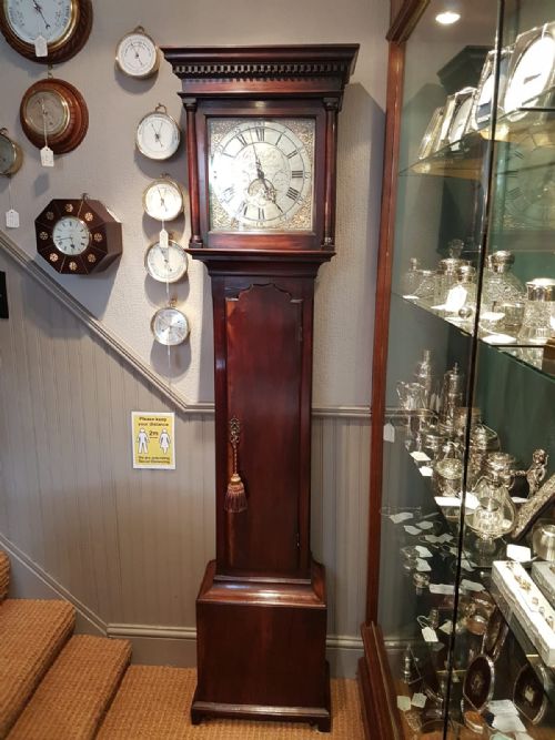Rare Georgian Laburnum Cased Cottage Longcase Clock
