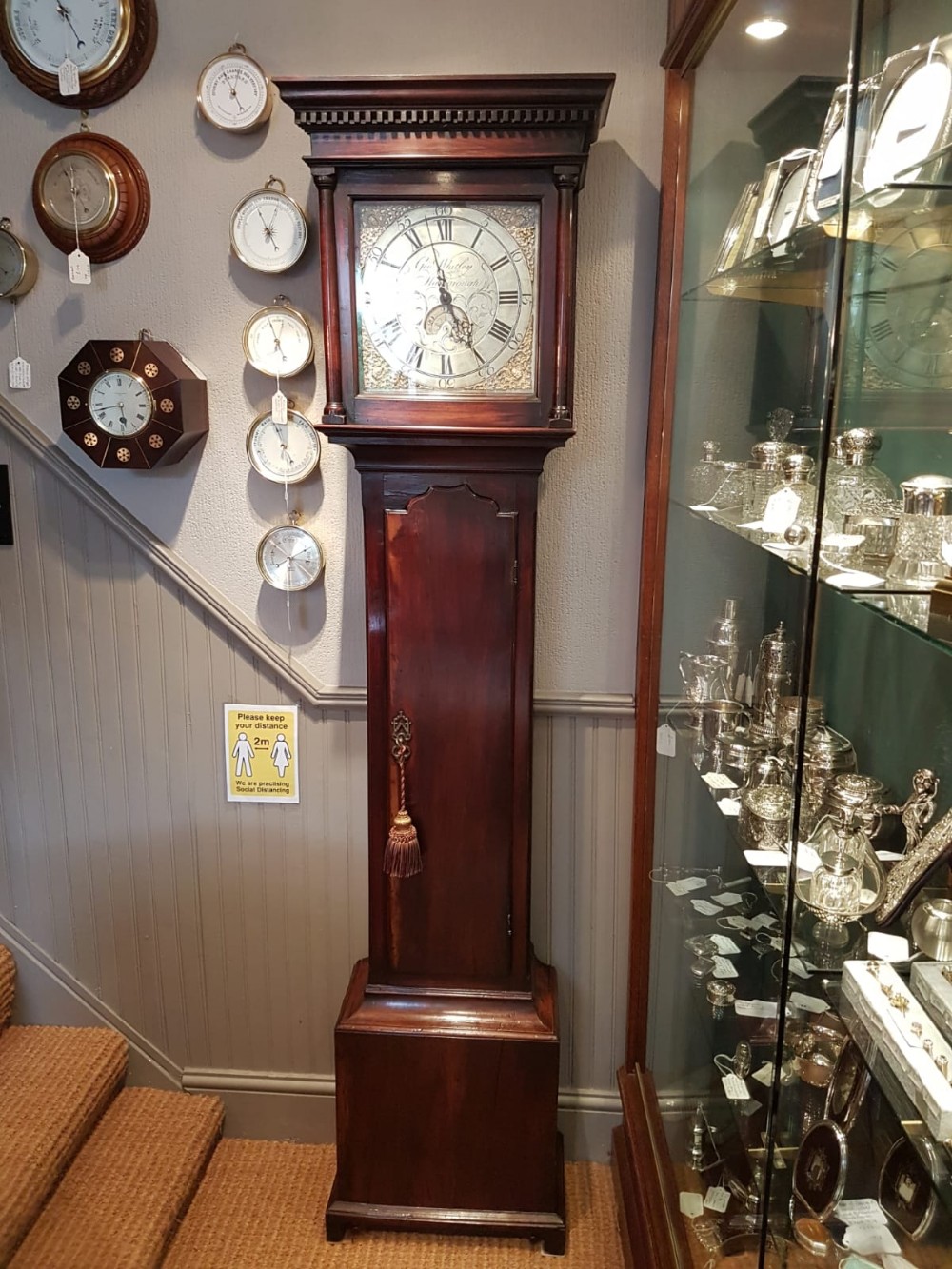 Rare Georgian Laburnum Cased Cottage Longcase Clock