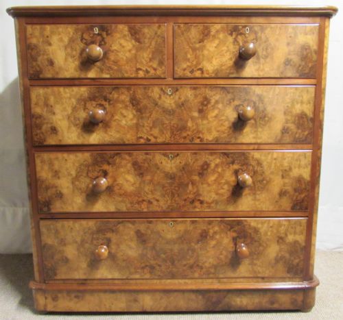 Superb Burr Walnut Victorian Chest of Drawers