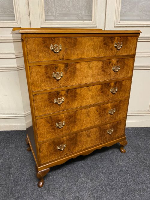 Burr Walnut 5 Drawer Chest