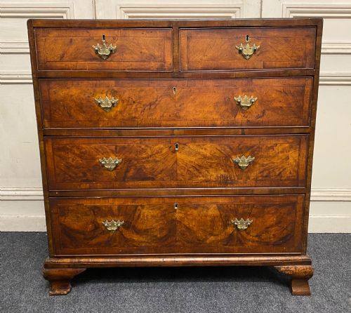 Antique Burr Walnut Chest of Drawers
