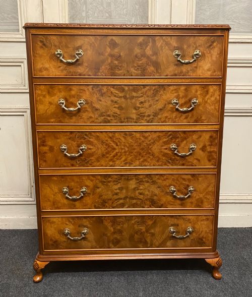 Burr Walnut 5 Drawer Chest