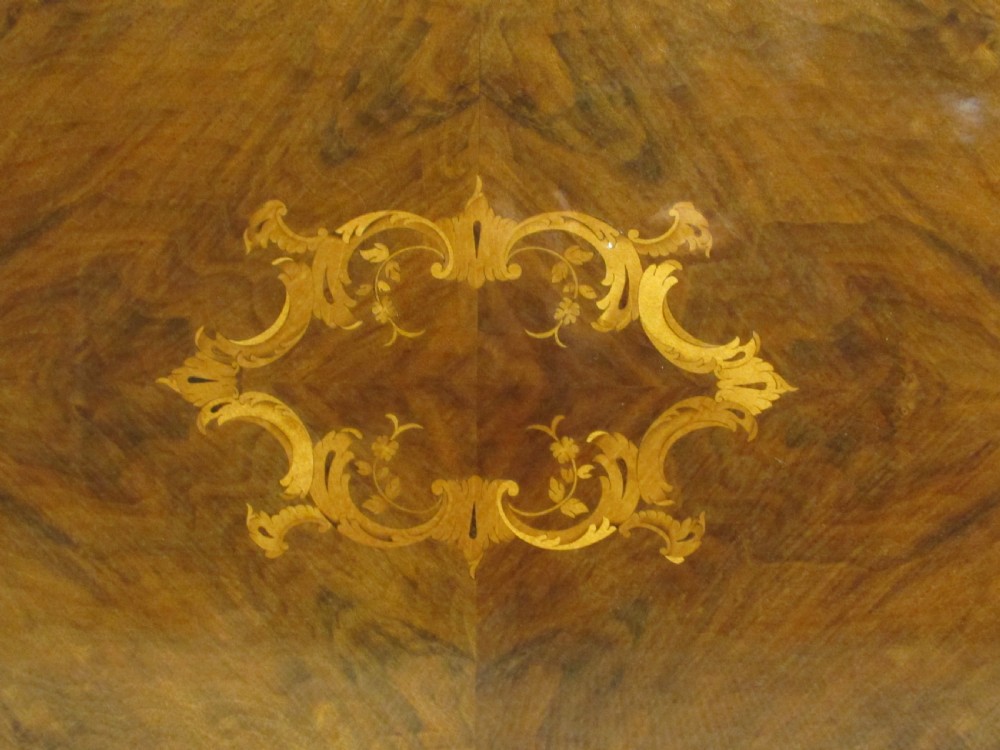 French Burr Walnut Coffee Table View VI