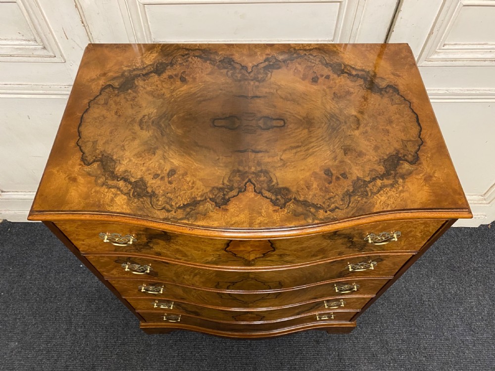 Burr Walnut 5 Drawer Chest View III