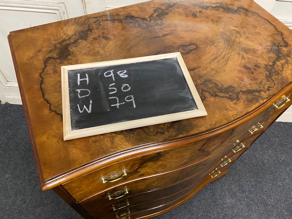 Burr Walnut 5 Drawer Chest View X