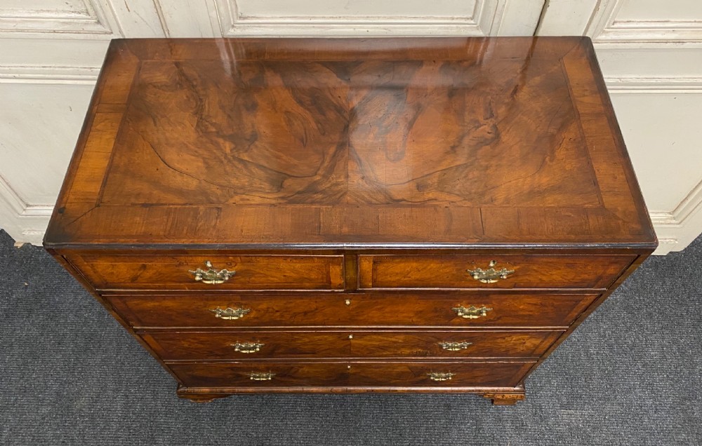 Antique Burr Walnut Chest of Drawers View II