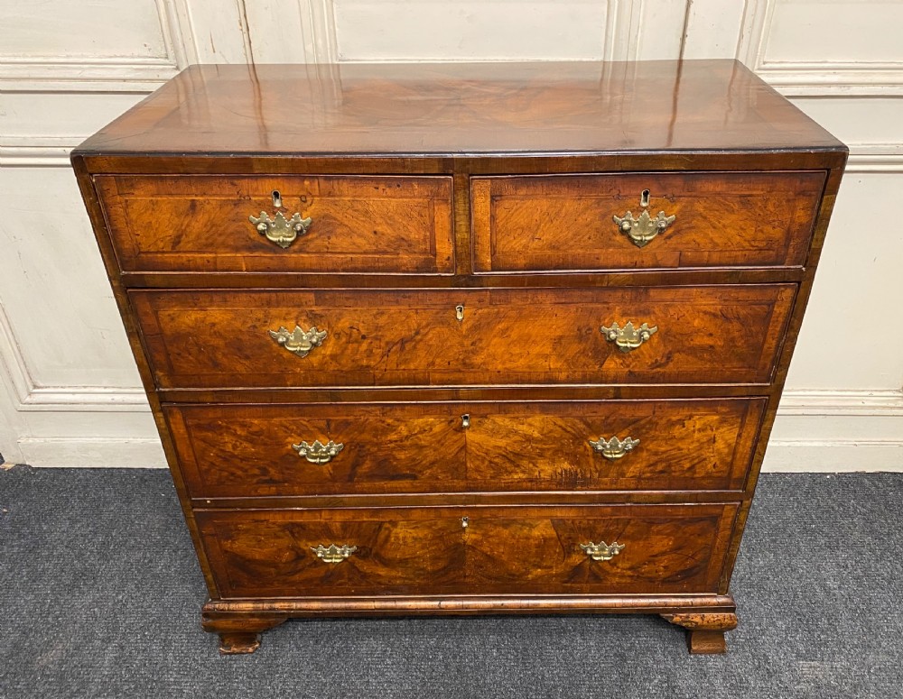 Antique Burr Walnut Chest of Drawers View III