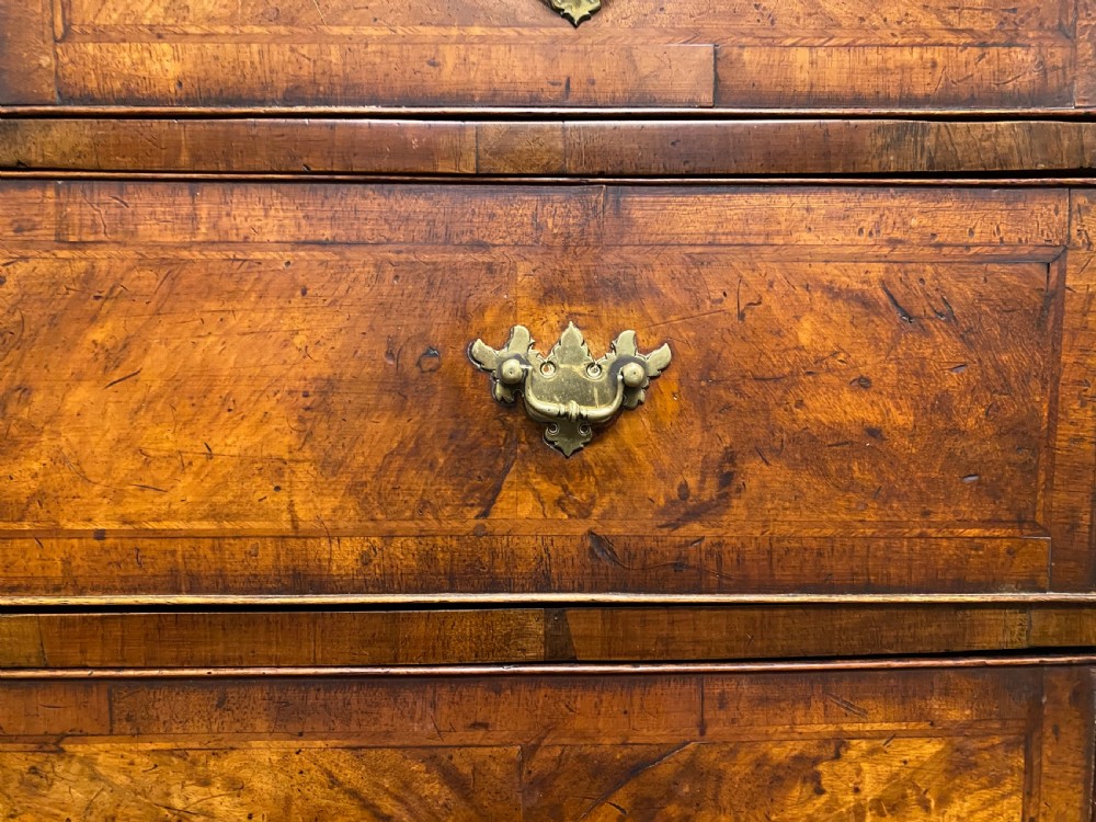 Antique Burr Walnut Chest of Drawers View IV