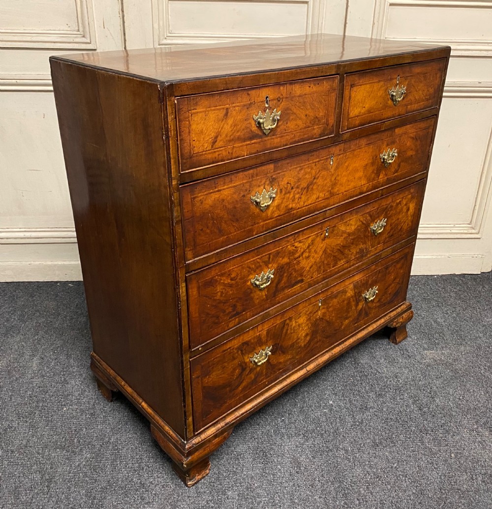 Antique Burr Walnut Chest of Drawers View VII