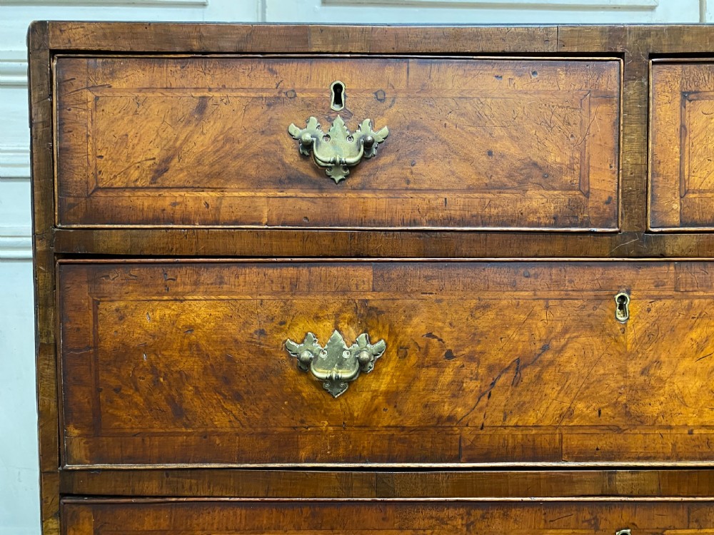 Antique Burr Walnut Chest of Drawers View XVI