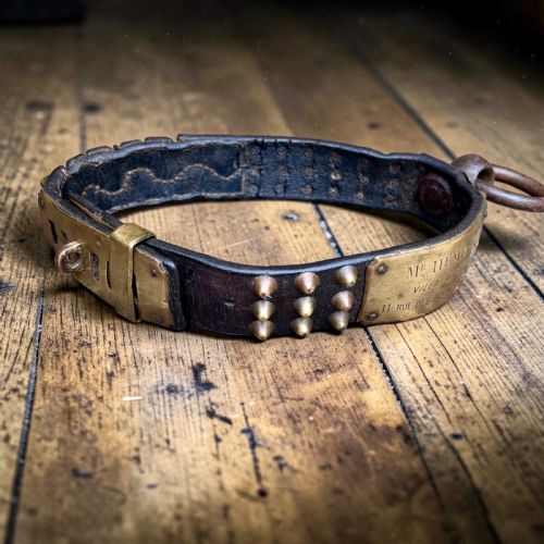 19th Century French Studded Leather Dog Collar with Brass Nameplate