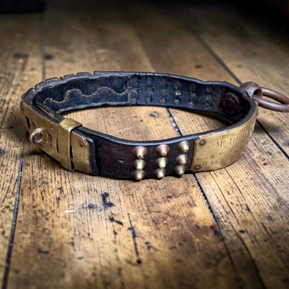 A 19th-century French dark leather dog collar featuring brass conical studs and an engraved brass nameplate.