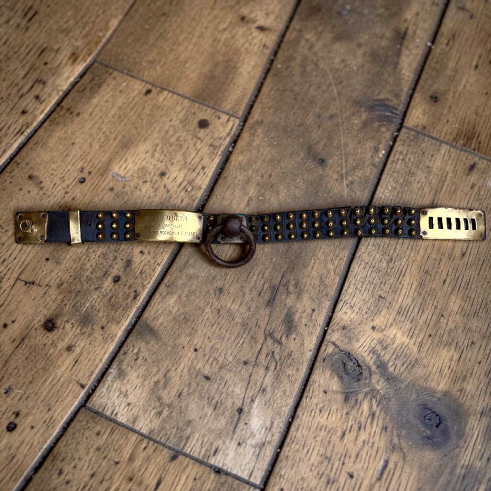 A 19th-century French dark leather dog collar featuring brass conical studs and an engraved brass nameplate. View IV