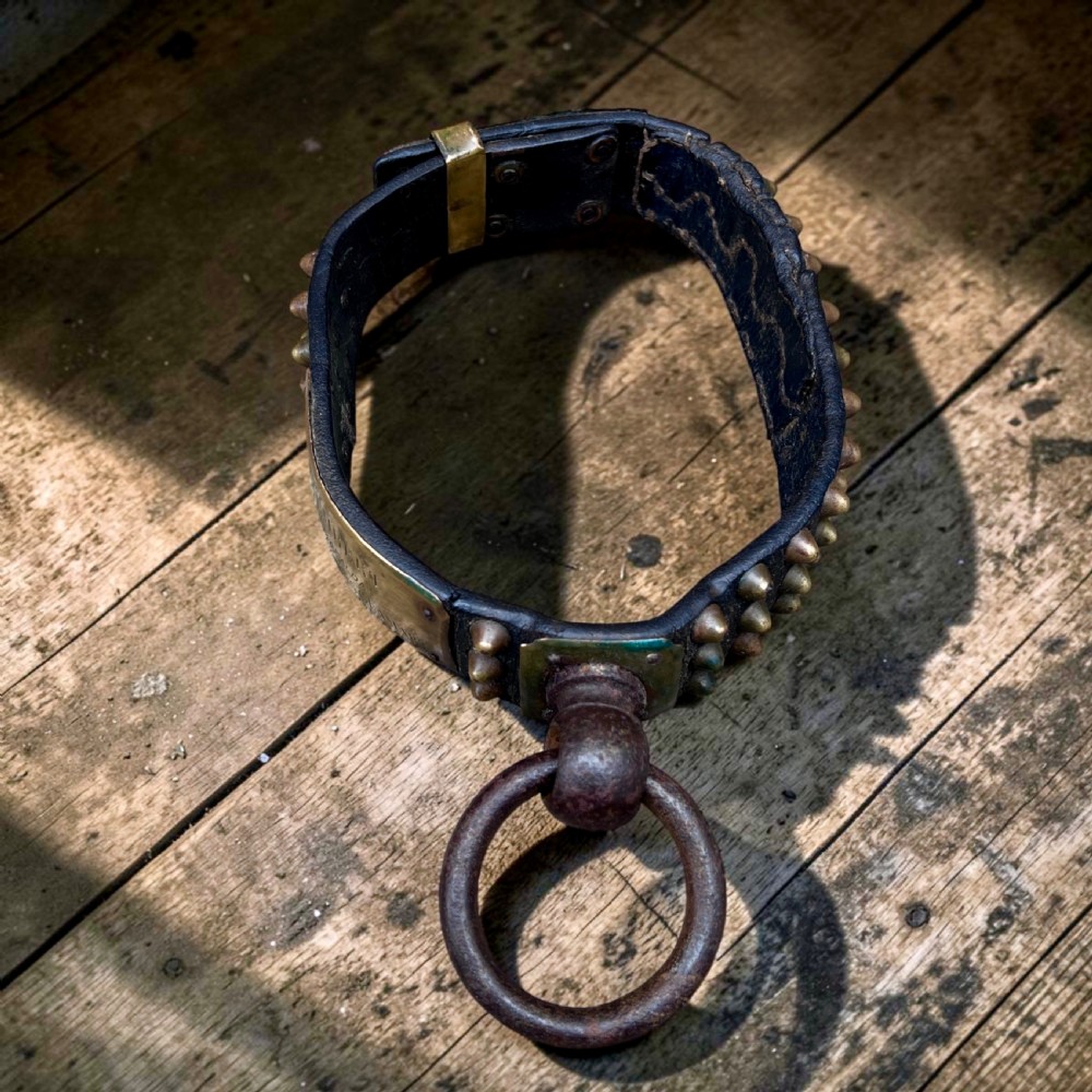 A 19th-century French dark leather dog collar featuring brass conical studs and an engraved brass nameplate. View VI