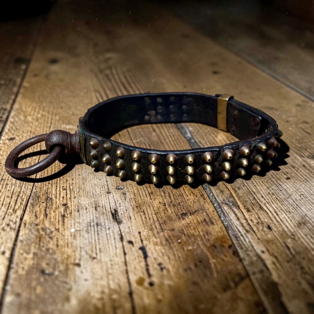 A 19th-century French dark leather dog collar featuring brass conical studs and an engraved brass nameplate. View VII