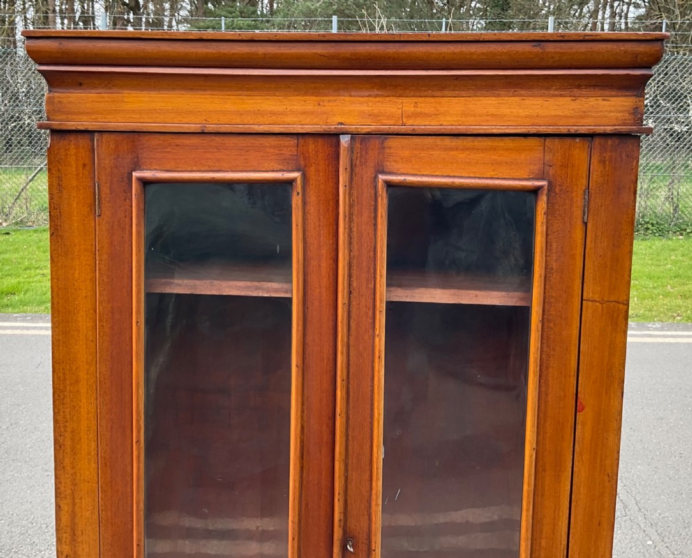 Victorian Tall Mahogany Bookcase View III