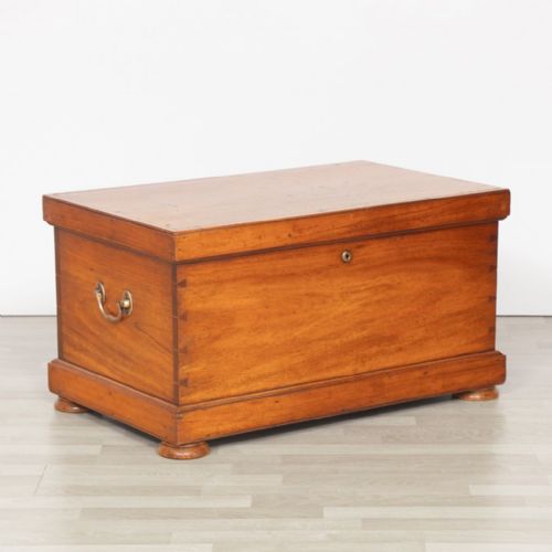 victorian mahogany trunk c1880 - CATEGORY: ANTIQUE CHESTS - DATED VICTORIAN