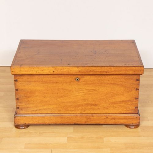 VICTORIAN MAHOGANY TRUNK C1880 - ADDITIONAL PHOTO 1