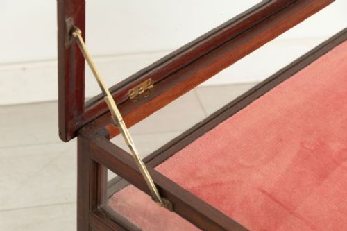 EDWARDIAN MAHOGANY DISPLAY CASE C1900 - ADDITIONAL PHOTO 7