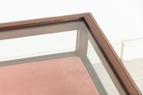 EDWARDIAN MAHOGANY DISPLAY CASE C1900 - ADDITIONAL PHOTO 8