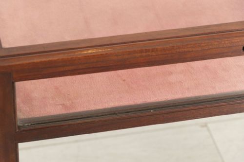 EDWARDIAN MAHOGANY DISPLAY CASE C1900 - ADDITIONAL PHOTO 9