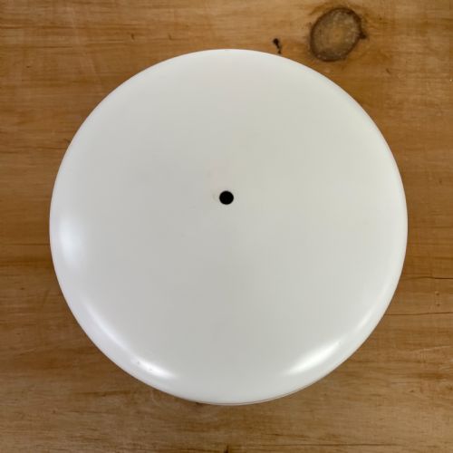 SET OF 4 EARLY 20TH C OPALNE CEILING LIGHTS - ADDITIONAL PHOTO 3