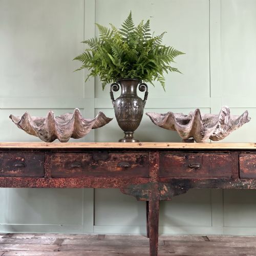 A PAIR OF 19TH C GIANT CLAM SHELLS