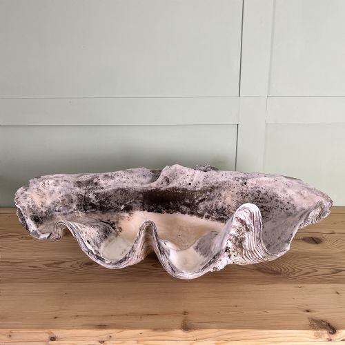 A PAIR OF 19TH C GIANT CLAM SHELLS - ADDITIONAL PHOTO 2