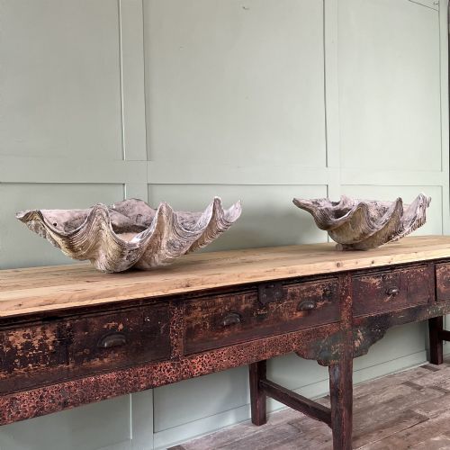 A PAIR OF 19TH C GIANT CLAM SHELLS - ADDITIONAL PHOTO 14