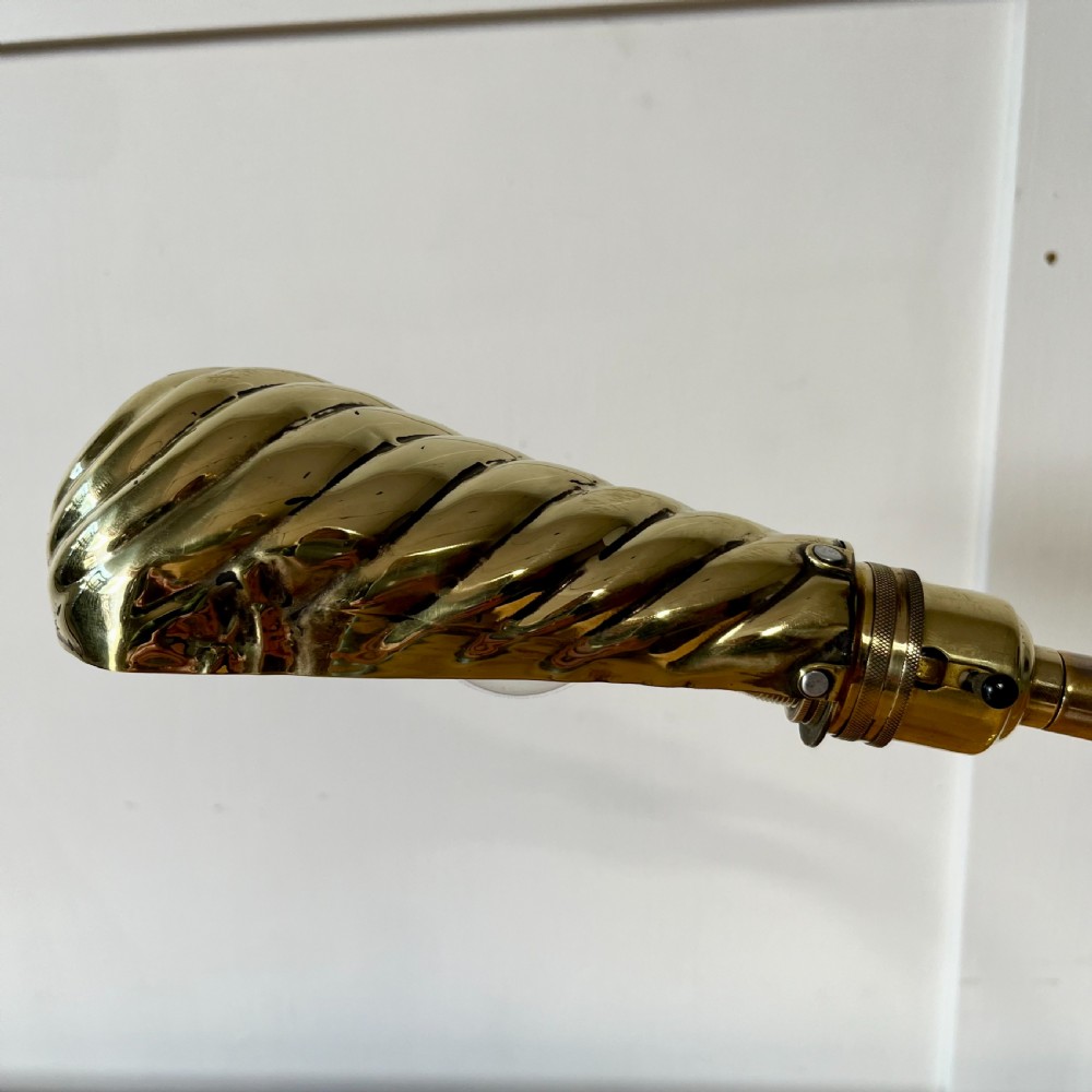 Edwardian Brass Shell Desk Lamp View IV