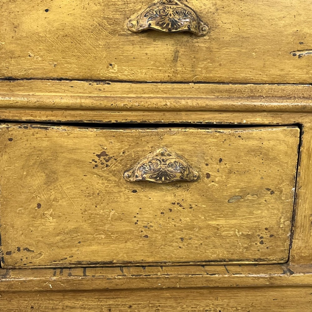 19th C. Painted Pine Shop Counter View V