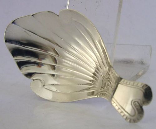 Rare Stunning English Solid Sterling Silver Georgian Caddy Spoon 1819 Antique