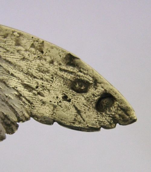 A solid silver pepper pot finely chased in the detailed form of a bird chick with outstretched wings. View XII