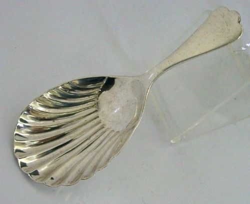 Antique Sterling Silver Caddy Spoon Dog Nose Pattern 1913