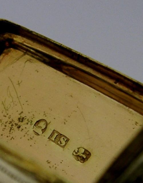 An open rectangular Georgian sterling silver vinaigrette box displaying an engraved exterior and a pierced gold-gilded inner grille featuring floral leaf patterns. View XIII