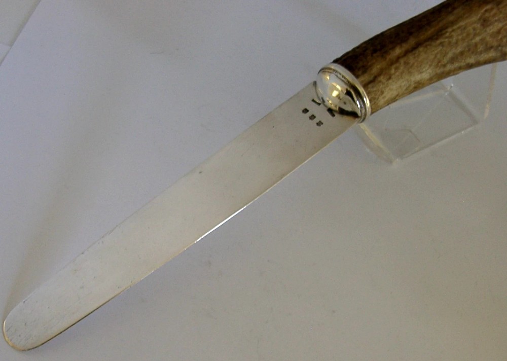 A Scottish provincial sterling silver page turner featuring a smooth silver blade mounted to a natural curved horn handle with a silver end cap. View VIII