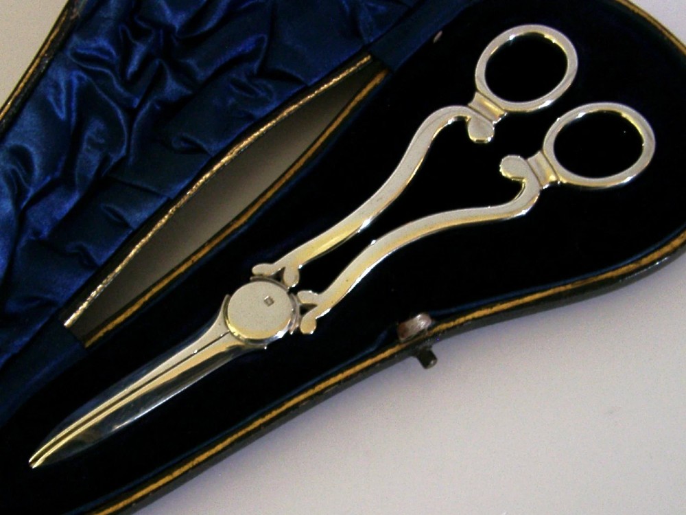 Antique Edwardian sterling silver grape shears presented inside an open, dark fitted case with a blue velvet and satin lining. View II