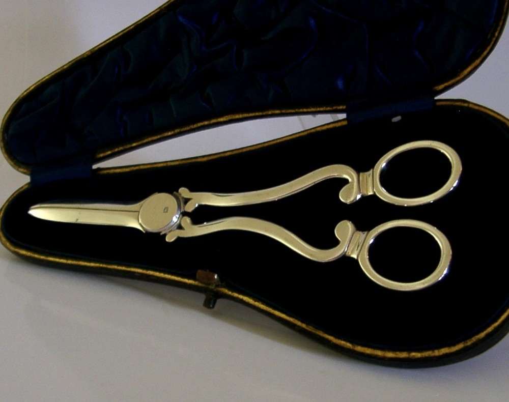 Antique Edwardian sterling silver grape shears presented inside an open, dark fitted case with a blue velvet and satin lining. View III