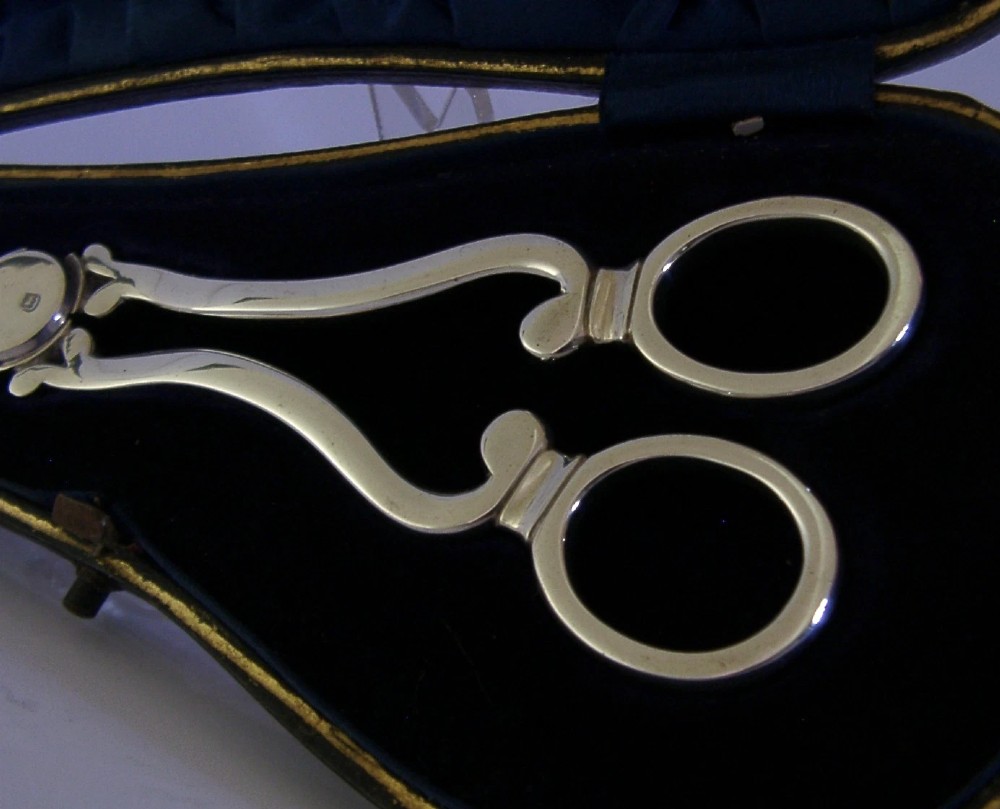 Antique Edwardian sterling silver grape shears presented inside an open, dark fitted case with a blue velvet and satin lining. View IV