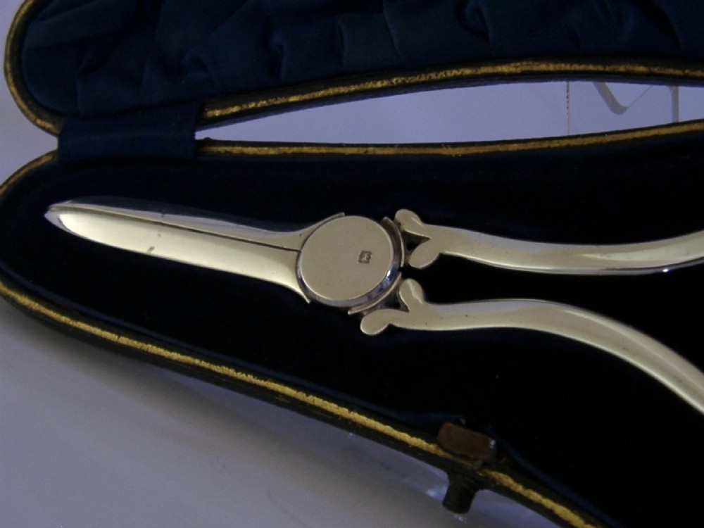 Antique Edwardian sterling silver grape shears presented inside an open, dark fitted case with a blue velvet and satin lining. View V