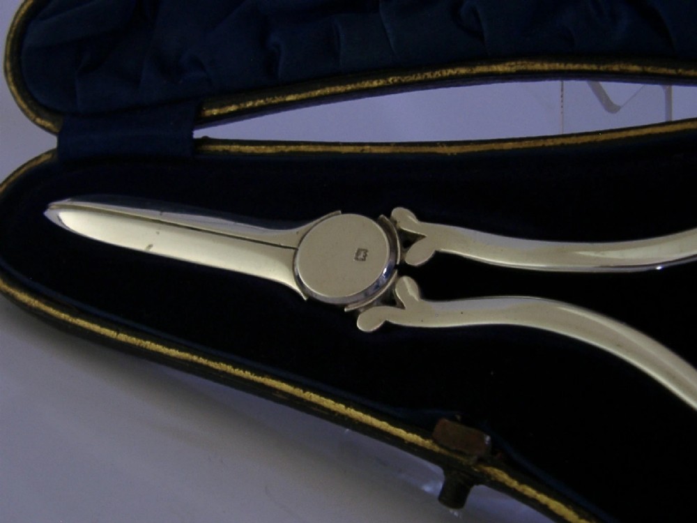 Antique Edwardian sterling silver grape shears presented inside an open, dark fitted case with a blue velvet and satin lining. View VI