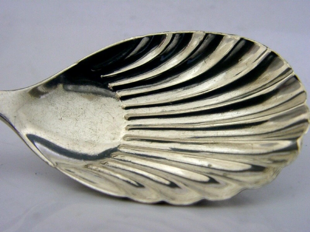 ANTIQUE STERLING SILVER CADDY SPOON DOG NOSE PATTERN 1913 View II