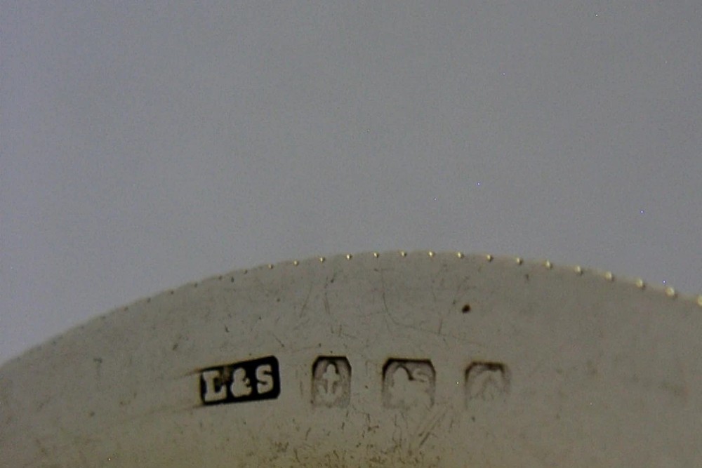 A circular sterling silver dish featuring the embossed coat of arms of the Worshipful Company of Fruiterers in the centre with hallmarks near the rim. View VI